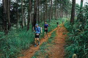 BIB: 
                            <button type="button" onclick="openModal(25657157)" class="btn btn-primary btn-sm float-right btn-popup" data-toggle="modal" data-target=".modal-high-quality">
                        <i class="fas fa-shopping-cart"></i> Add to Cart
                    </button>
                                            <button type="button" onclick="isThisMe(25657157, true)" class="btn btn-success btn-sm float-right btn-popup btn-isme hidden" data-toggle="tooltip" data-placement="bottom" title="นี่คือรูปของคุณใช่ไหม คลิกที่นี่เพื่อเอาเข้าอัลบั้ม">
                        <i class="fas fa-plus"></i> Add to album
                    </button>
                    <button type="button" onclick="isThisMe(25657157, false)" class="btn btn-warning btn-sm float-right btn-popup btn-isnotme hidden">
                        <i class="fas fa-ban"></i> Remove from album
                    </button>